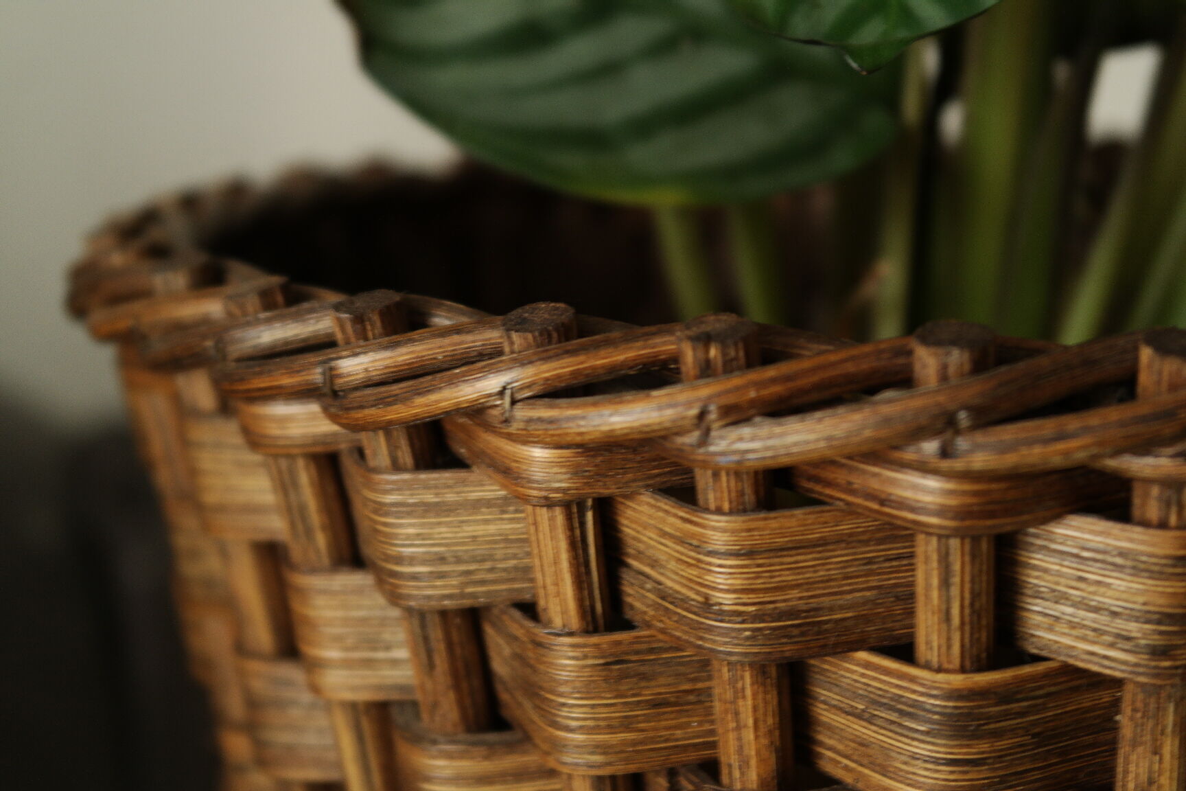 Sole-on-foot door in vintage braided reeded curved wood