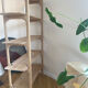 Pi Shelf Ethnicraft