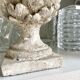 Ornamental artichokes in bleached concrete