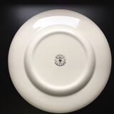 Royal Stafford Dinner Plate Asiatic Pheasant