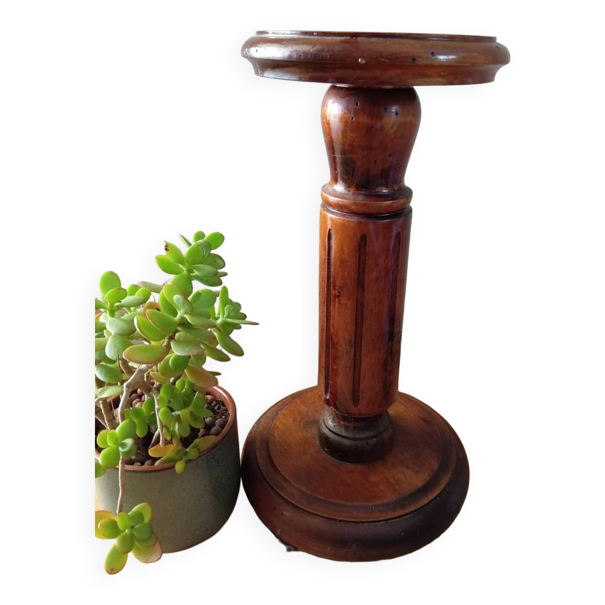 Varnished solid wood plant holder column, rustic chic