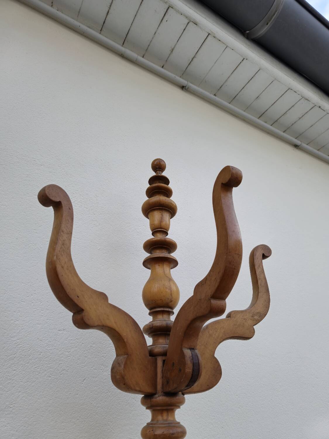 Antique 19th century parrot coat rack