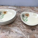 Set of 7 antique St. Clement Sirius pattern ceramic plates