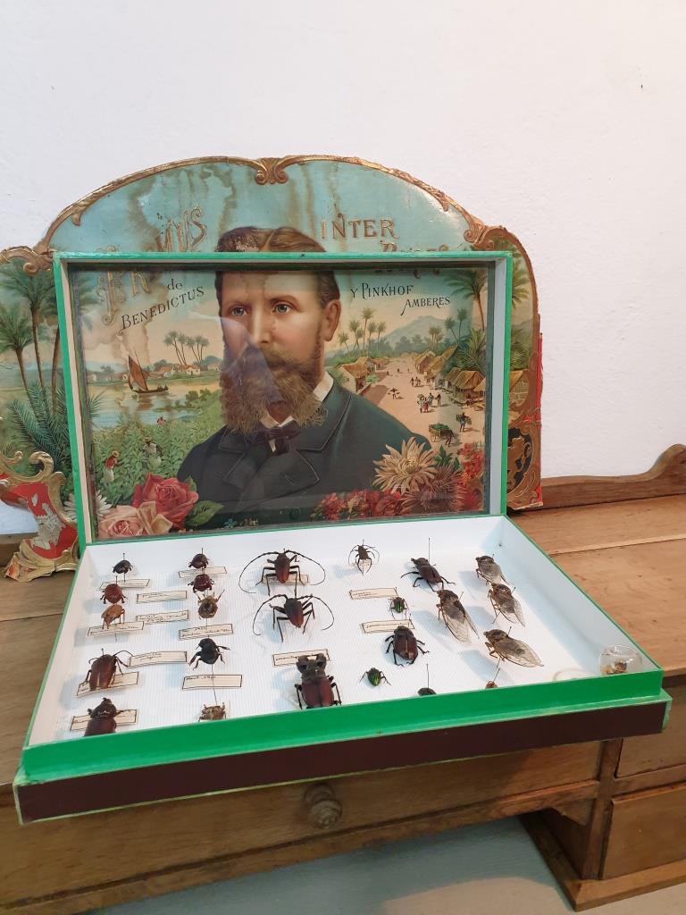 Entomology box Insect box