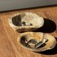 Dark beige oval petrified wood bowl 25x19 - 3782