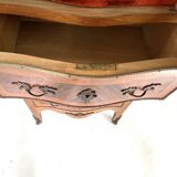 Old Louis XV style display case