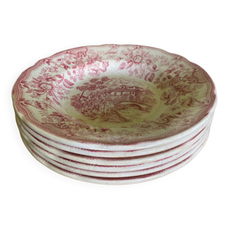 6 assiettes creuses décor romantique rose