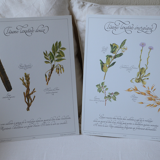 Botanical plates