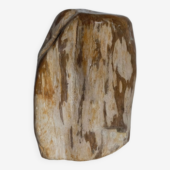 Polished fossilized petrified wood to pose free-form