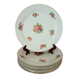 6 porcelain plates