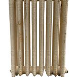Set of three old radiators with flowered blades in cast iron 20th century