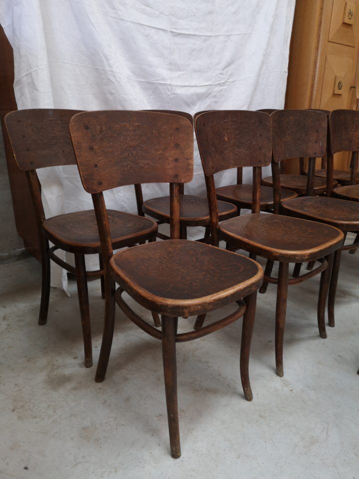 11 Fischel Niemes chairs in Bohemia Austria early 20th century