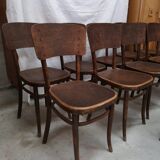 11 Fischel Niemes chairs in Bohemia Austria early 20th century