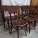 11 Fischel Niemes chairs in Bohemia Austria early 20th century