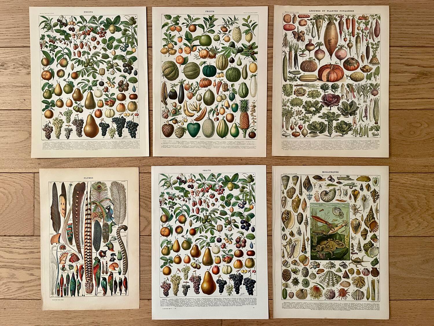 Réserve Audrey - Lot de 6 lithos XXe
