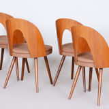 Chairs by Antonín Šuman 1950