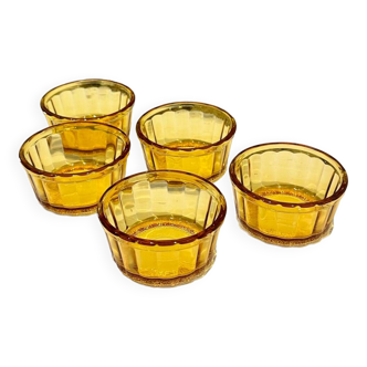 Set of 5 Ramekins Glass Dessert Dishes