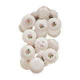 Lot de 18 assiettes plates
