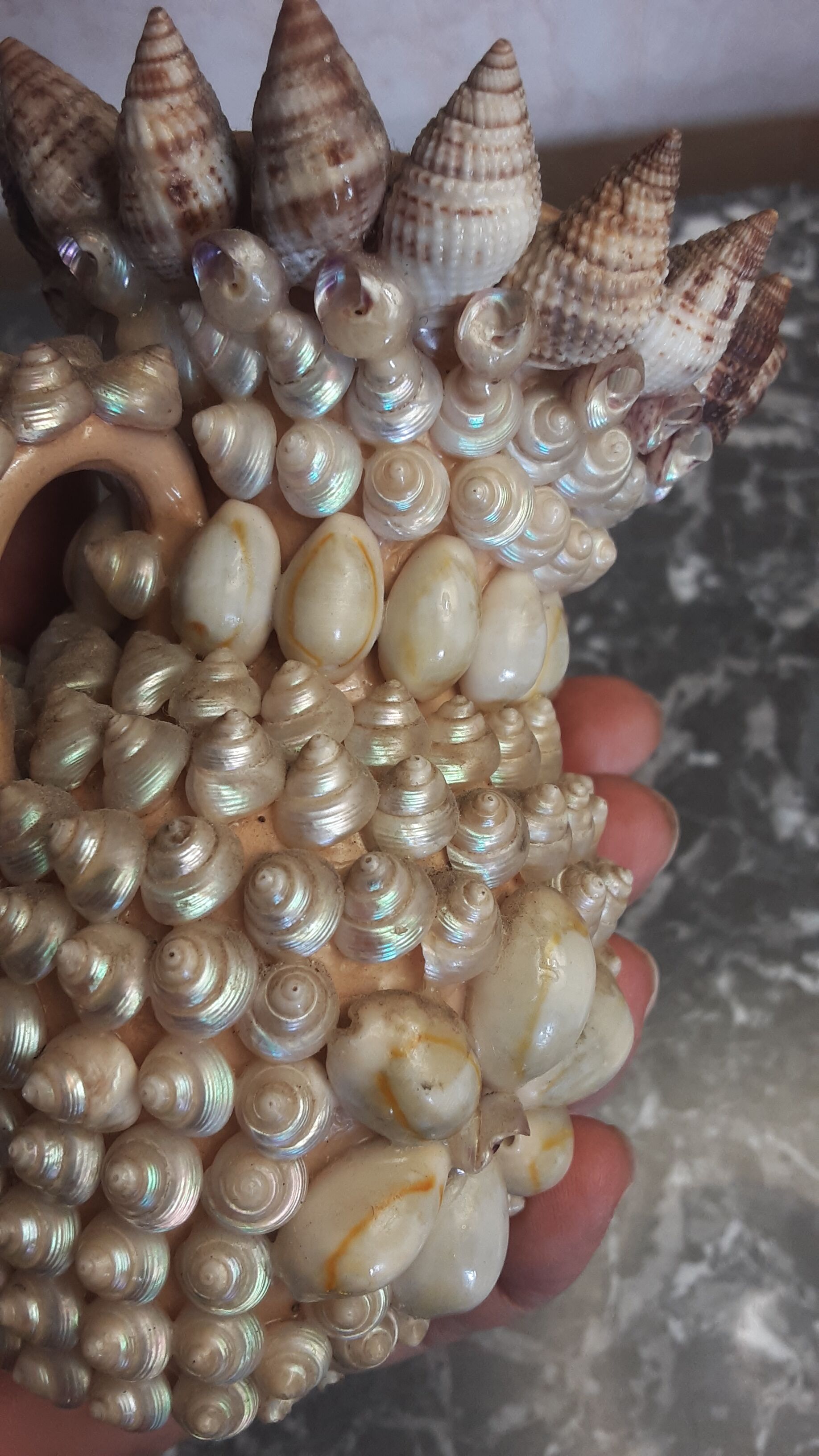 Vase terracotta shells - year 70