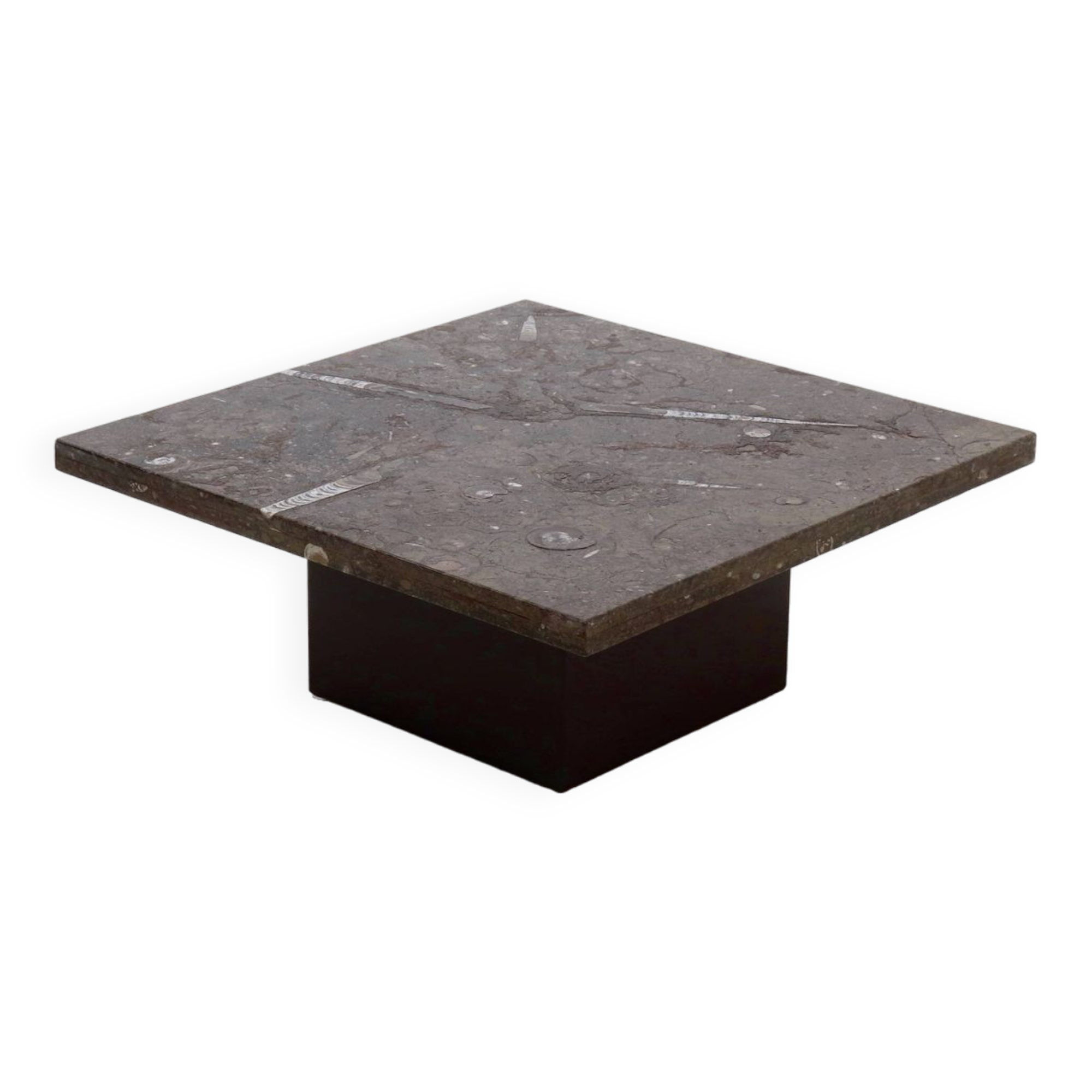 Rare Fossil Stone Coffee Table by Metaform 1970s