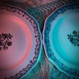 2 Moustiers Earthenware Plates | 18th Century | Colorful Floral Decor