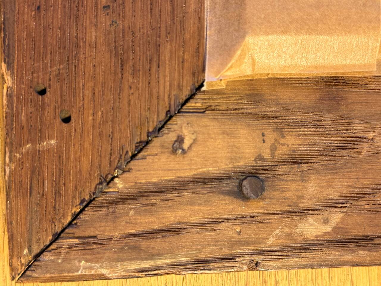 Old silver photograph, portrait, 19th century