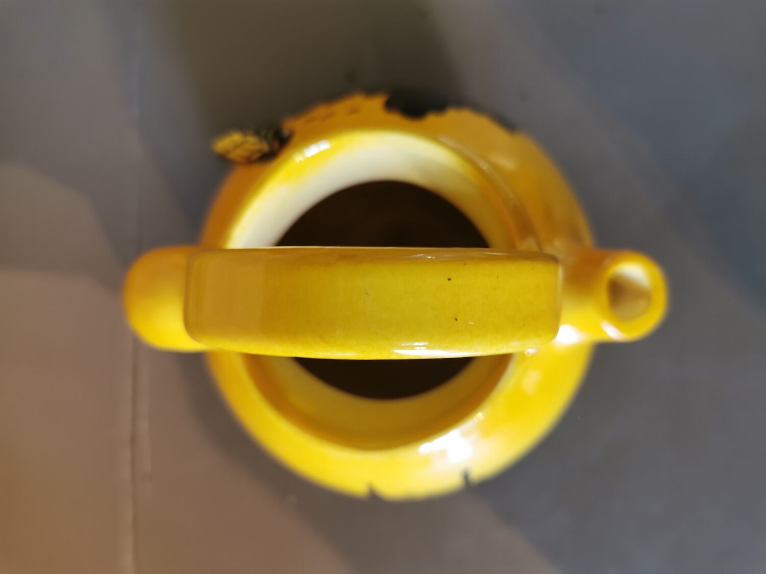 Vintage gargoulette with cicada