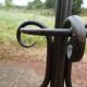 Parrot coat holder in curved wood - Art Nouveau