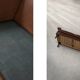 Mid-Century Danish Modern 2-Seater Brown Leather Sofa 3330 by  Arne Vodder