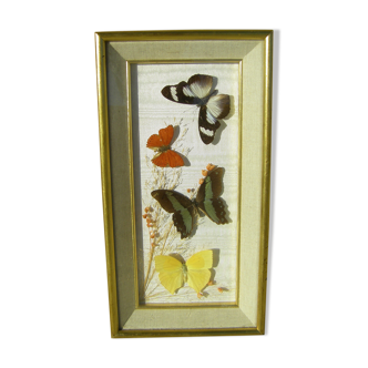 Vintage butterfly frame