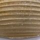 Murano Gold Glass Ceiling Light Flushmount, 1970s