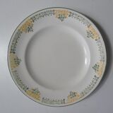 Iron earth 6 flat plates Savigny