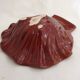 Shell cutting dish
