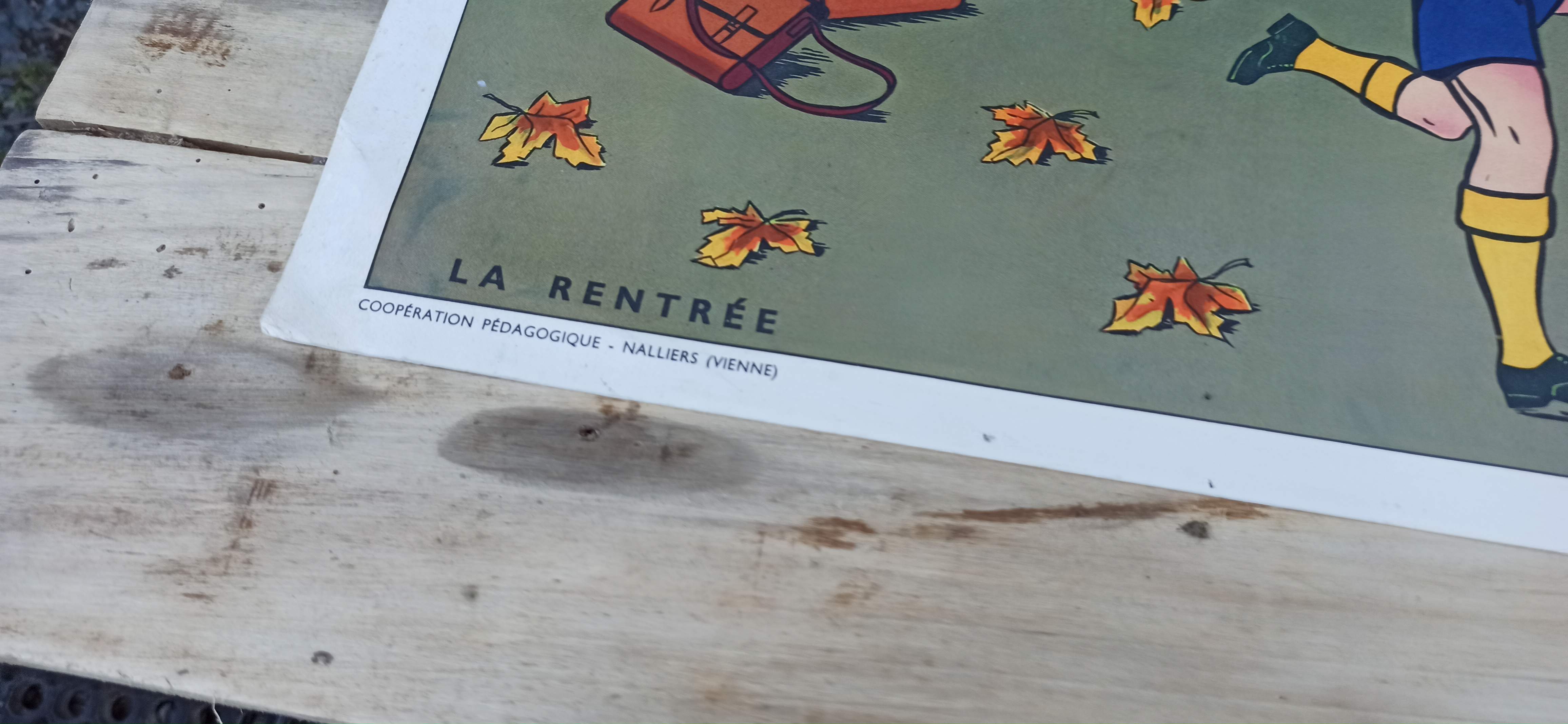 Set of 5 school posters