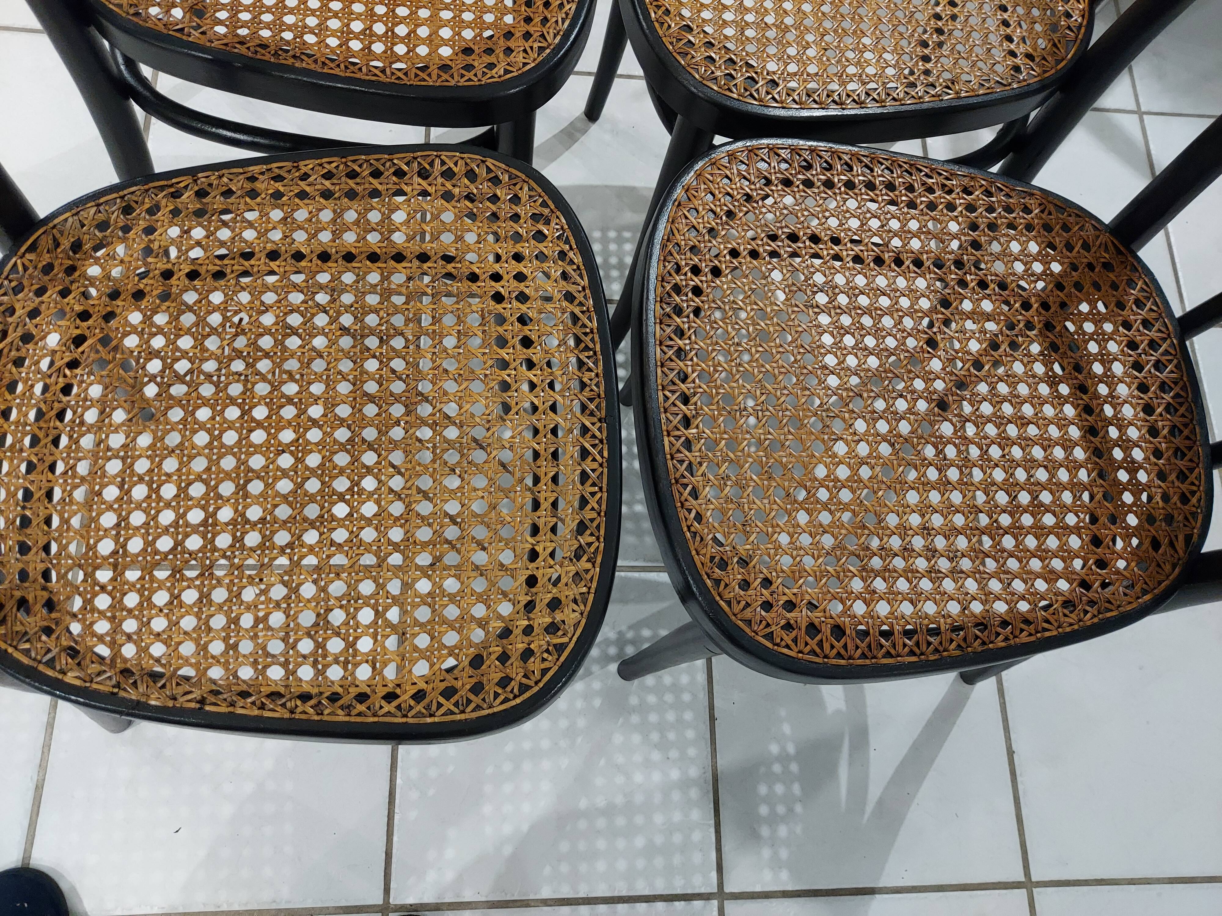 Suite of 4 Bistro chairs canned by ZPM for Thonet vintage 1950