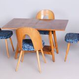 Restored Midcentury Beech Oak Folding Table, Revived Polish, Czechia, 1950s