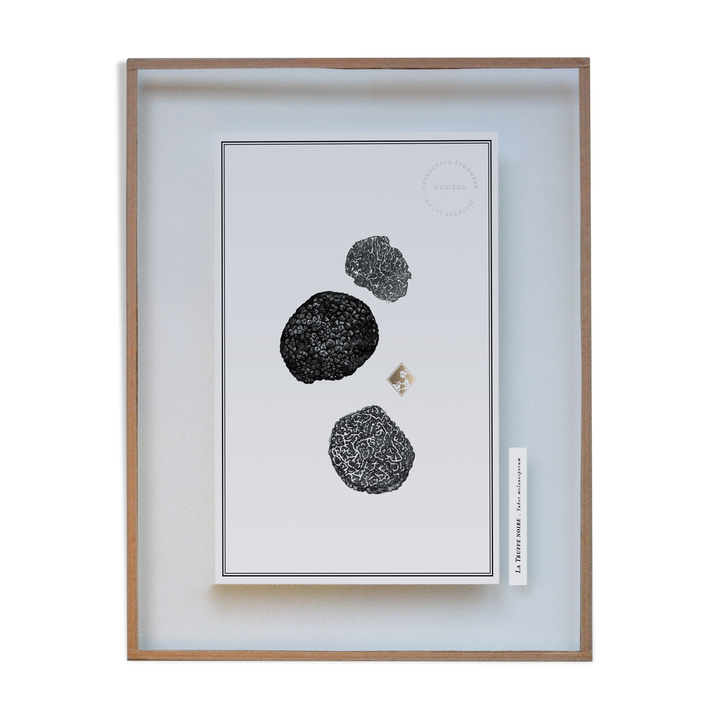 Painting "Black Truffle" - Illustration