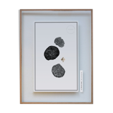 Tableau "Truffe Noire" - Illustration