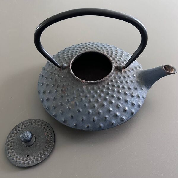 Théière japonaise en fonte