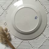 Blue flower plates Creil and Montereau