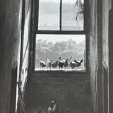 Old black and white silver photography early twentieth century