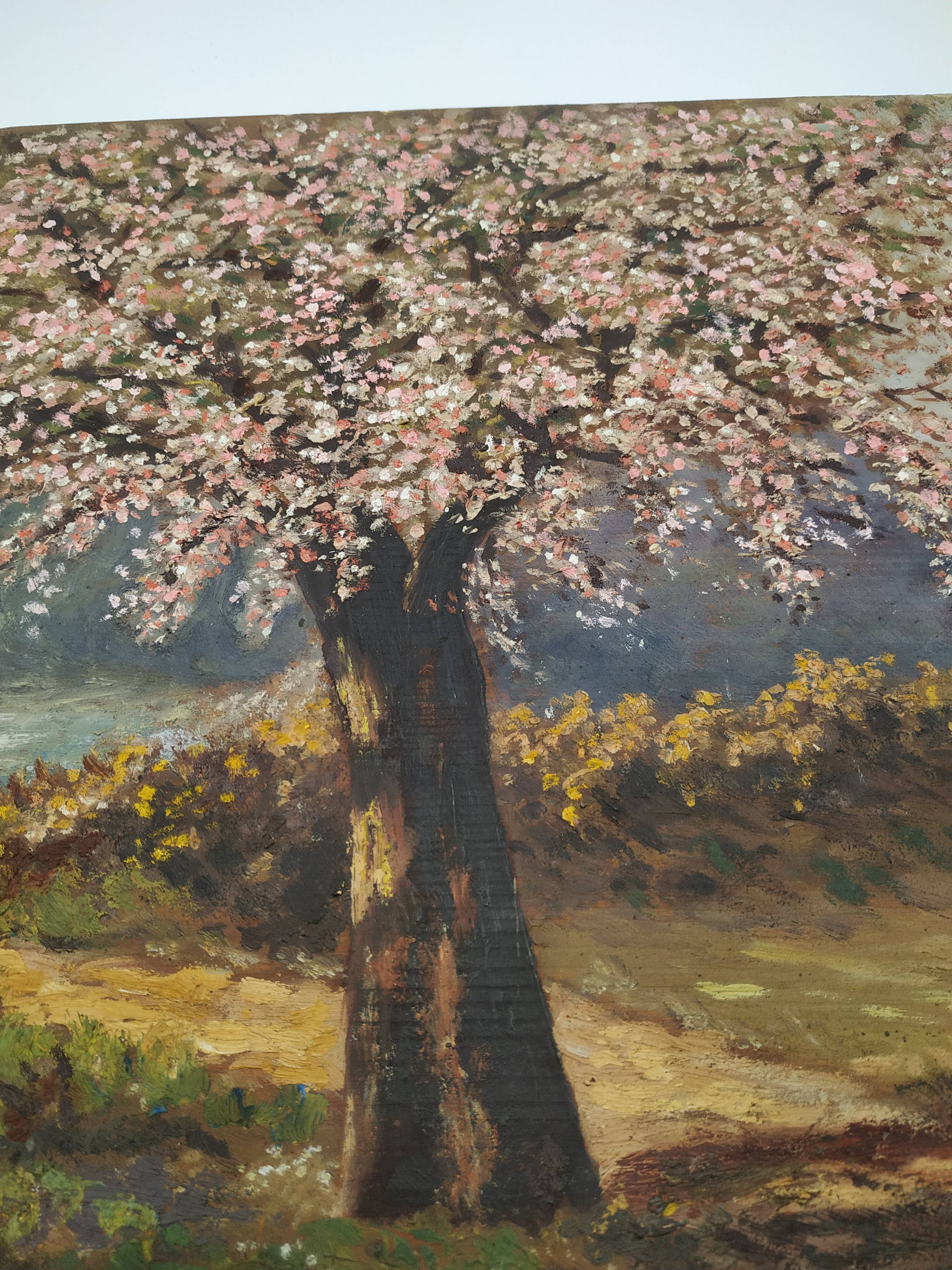 Apple trees in blossom oil on panel