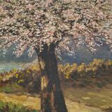 Apple trees in blossom oil on panel