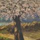 Apple trees in blossom oil on panel