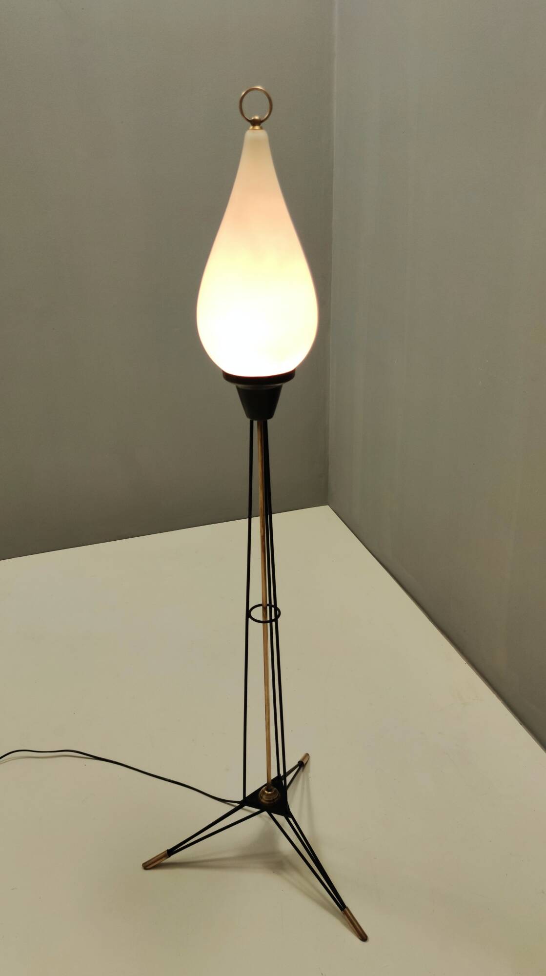 White Opaline Glass and Black Iron Floor Lamp by Stilnovo, Italy