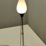 White Opaline Glass and Black Iron Floor Lamp by Stilnovo, Italy