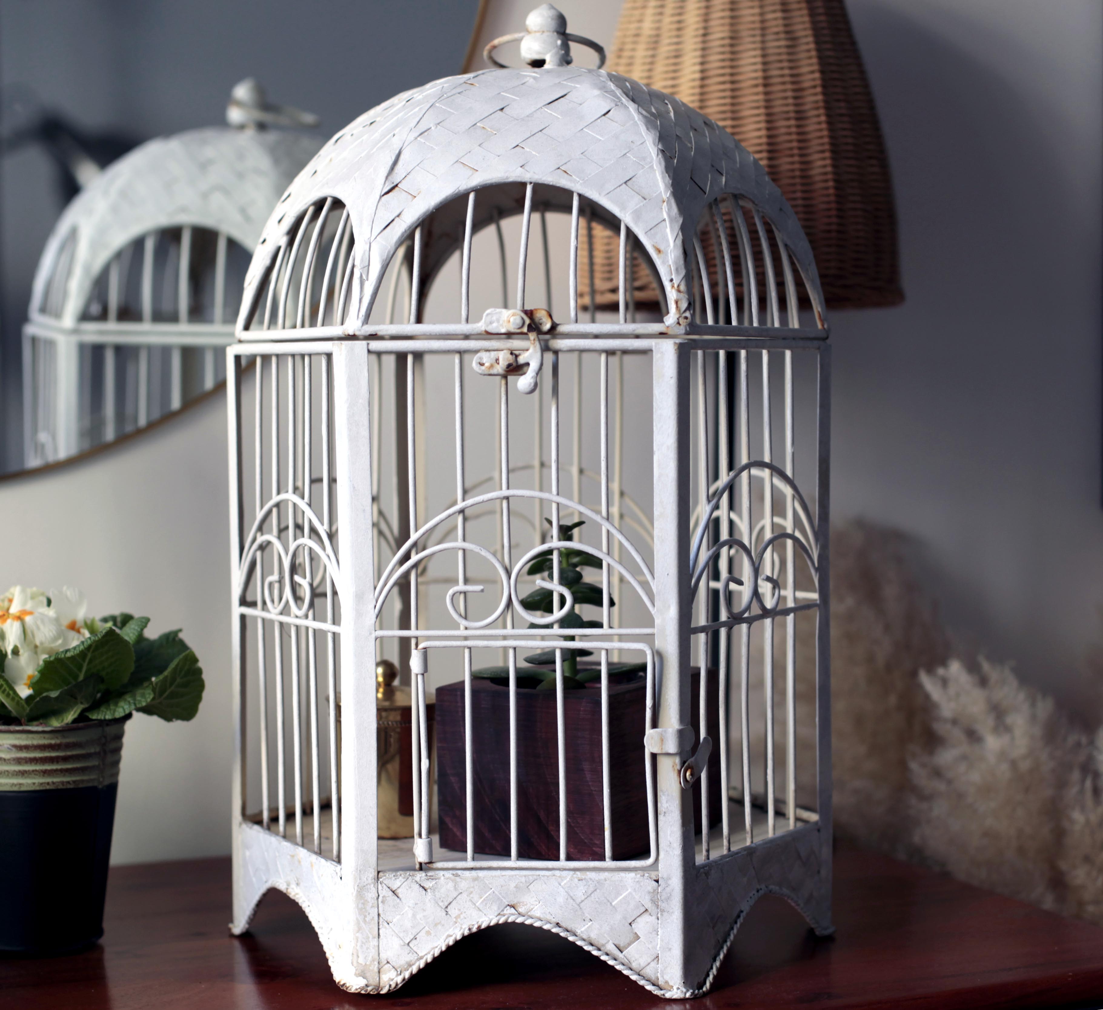 Ancient bird cage