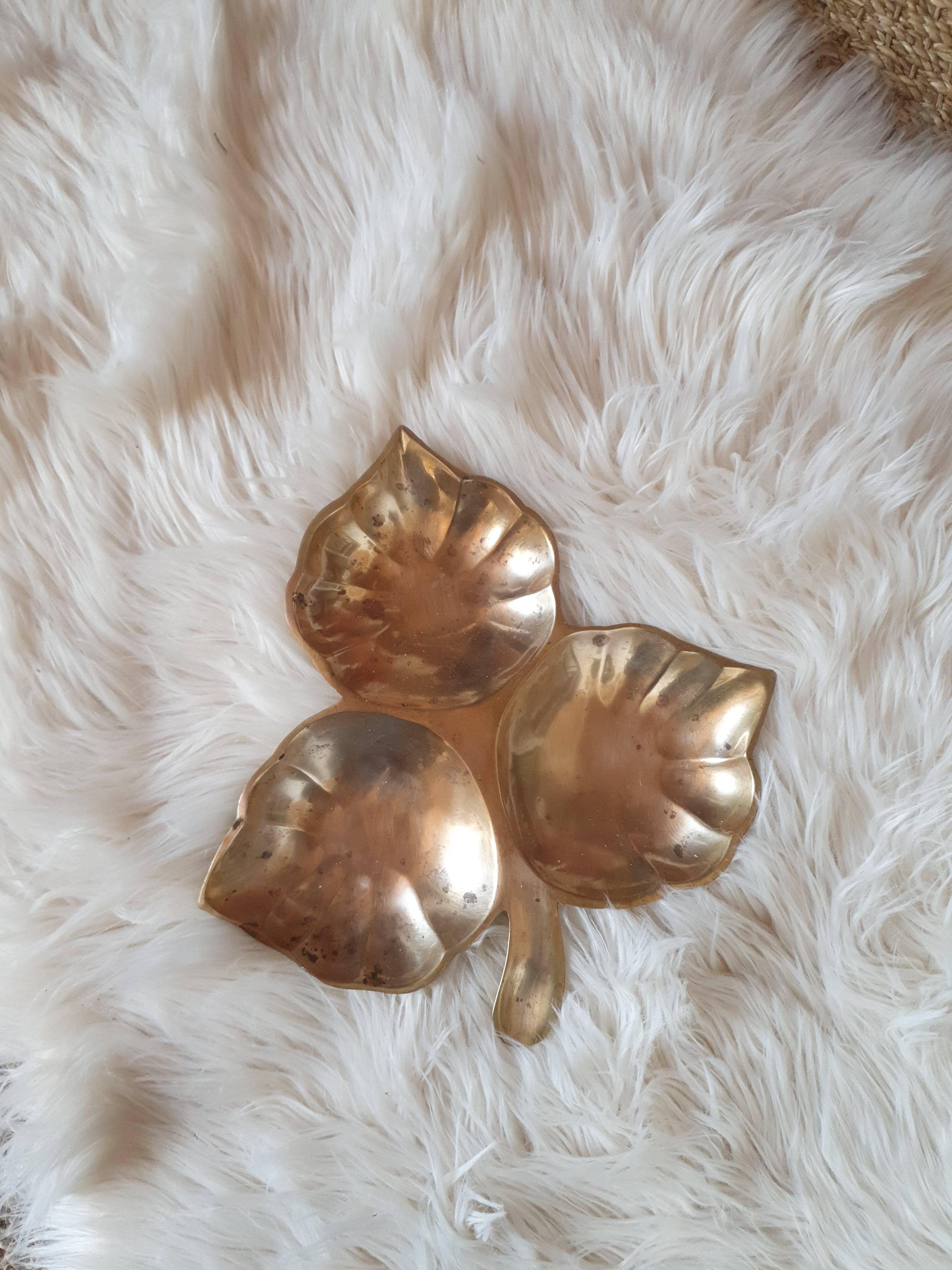 Brass leaf pocket tray