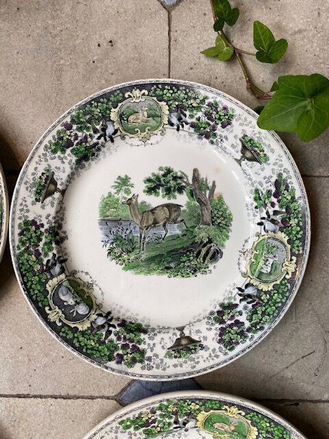 Assiettes Creil et Montereau