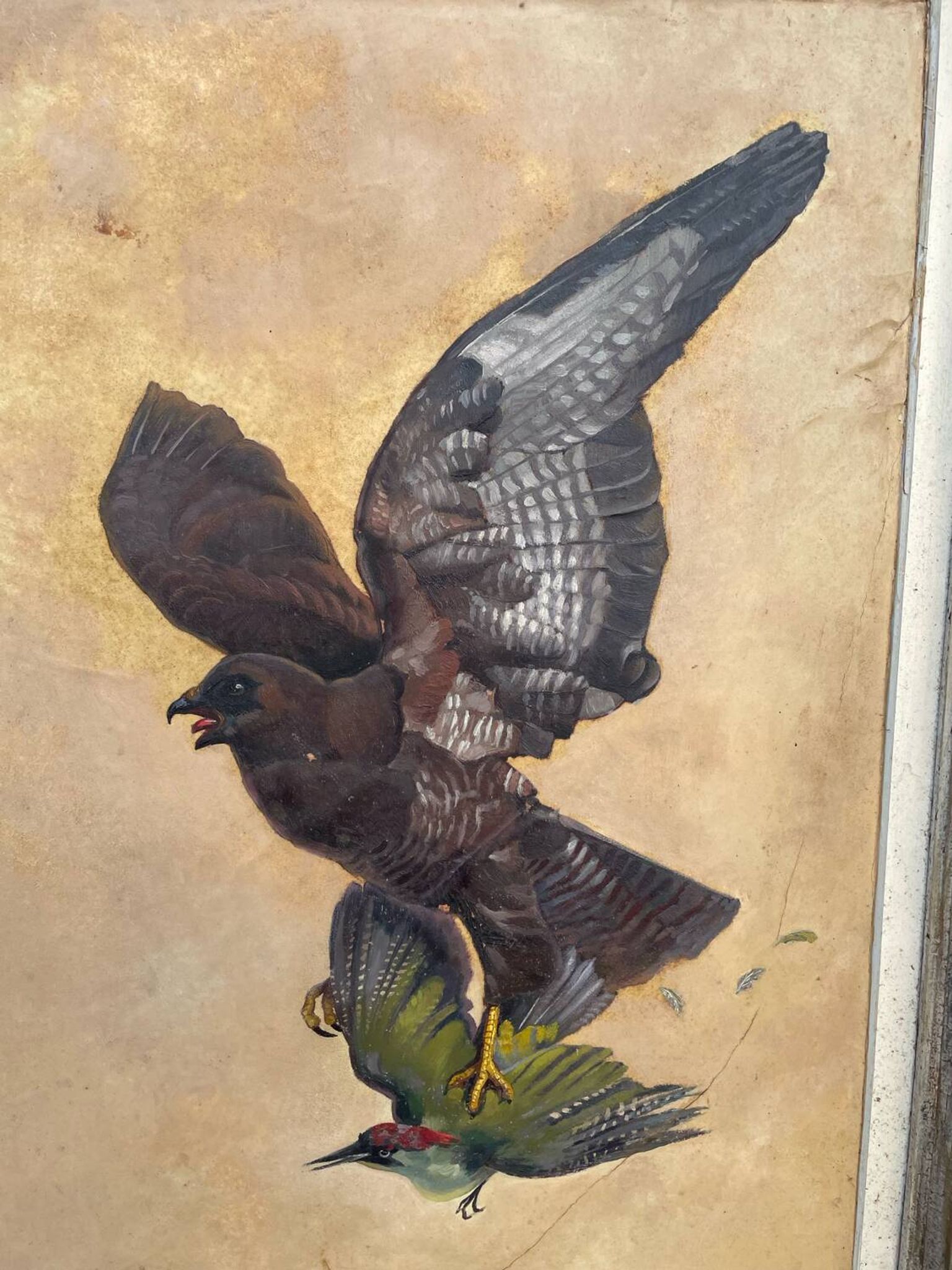 Table of a Harrier and Jay Oil on parchment